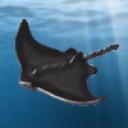 manta_ray.gif