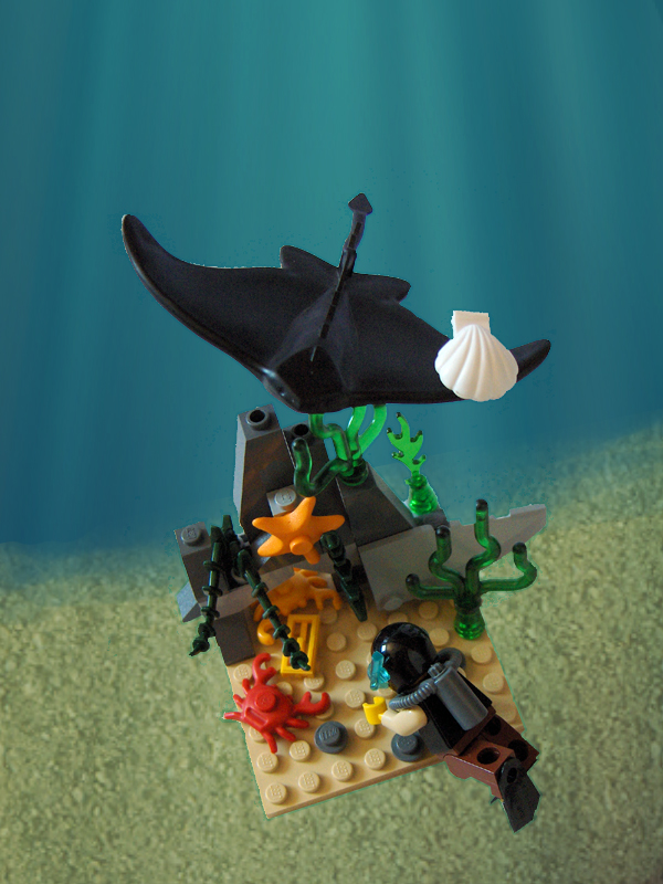 whack-a-fig_01.jpg