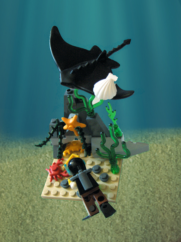 whack-a-fig_04.jpg