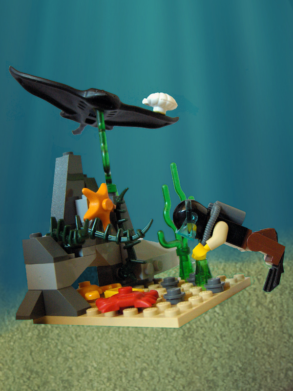 whack-a-fig_05.jpg