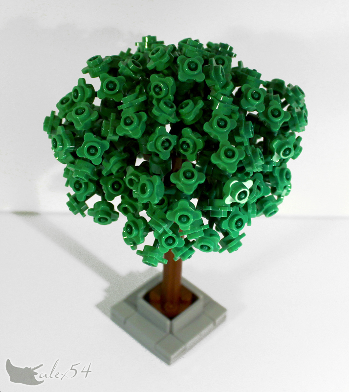 arbre_02.jpg