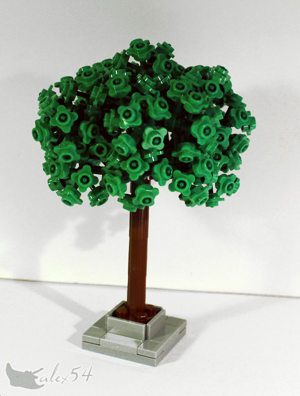 arbre_04.jpg