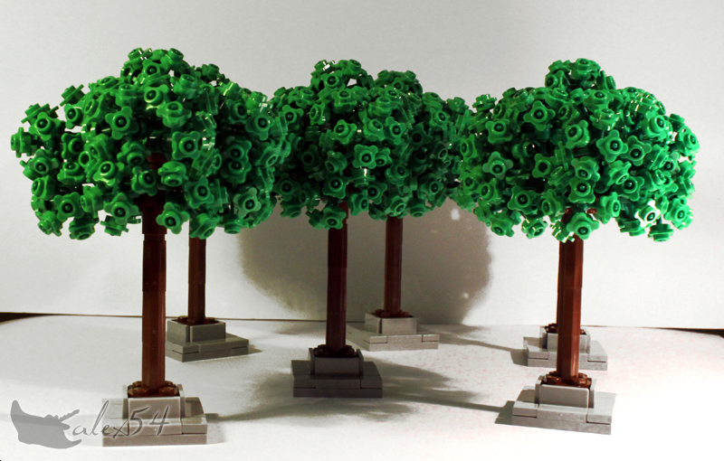 arbre_05.jpg