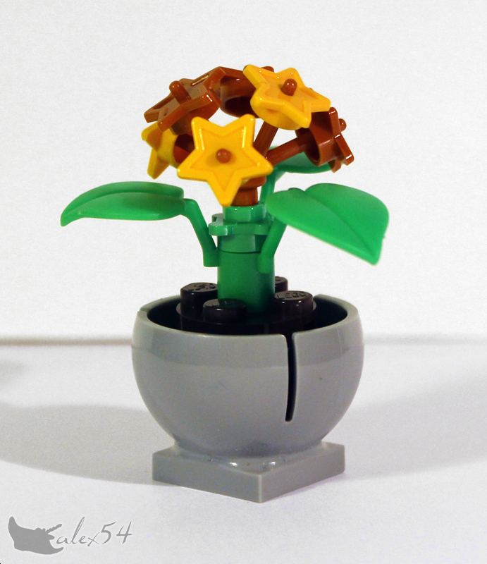 fleurs01_01.jpg