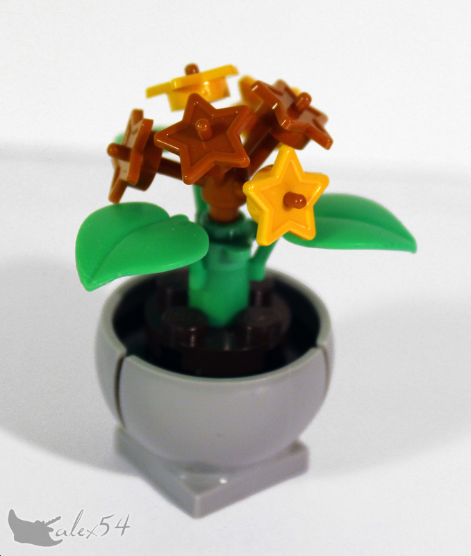 fleurs01_02.jpg
