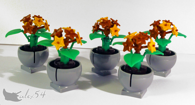 fleurs01_03.jpg