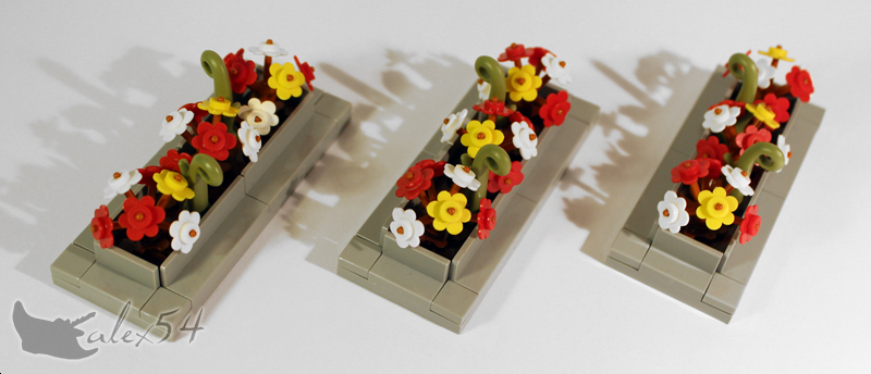fleurs02_03.jpg