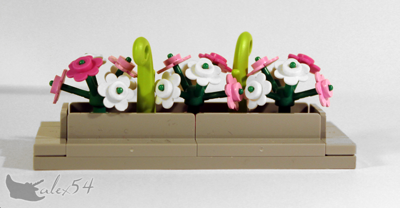 fleurs03_02.jpg
