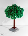 arbre_01.jpg