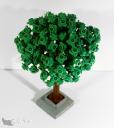 arbre_02.jpg