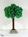 arbre_03.jpg