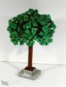arbre_04.jpg