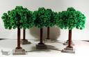 arbre_05.jpg