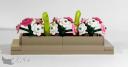 fleurs03_02.jpg