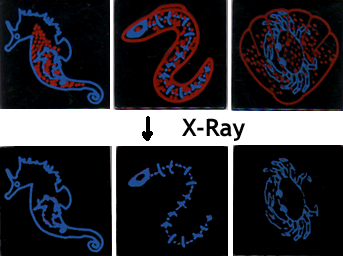 xray.gif