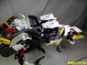 dsc05642.jpg