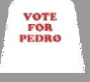 vote_for_pedro_shirt_graphic.jpg