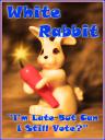 white_rabbit_big.jpg