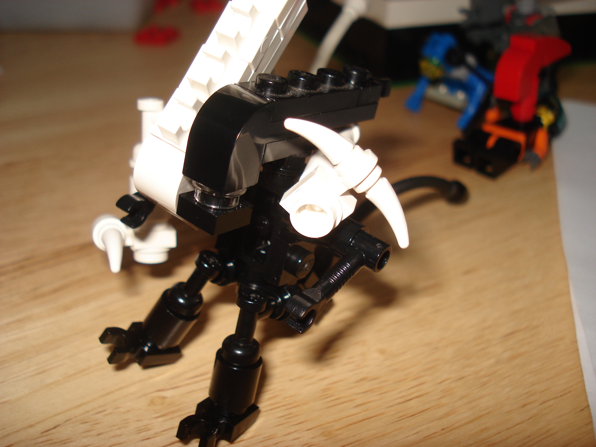 dsc05752.jpg