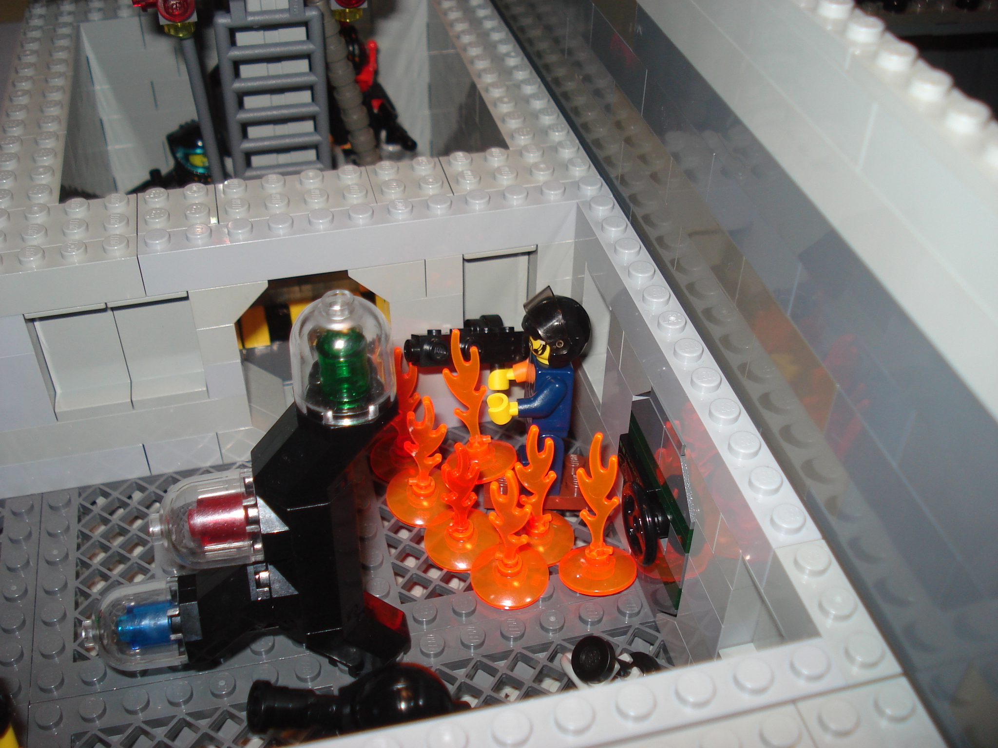 dsc05798.jpg
