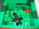 dsc05775.jpg
