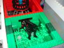 dsc05776.jpg