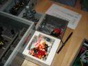 dsc05791.jpg