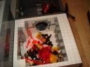 dsc05793.jpg