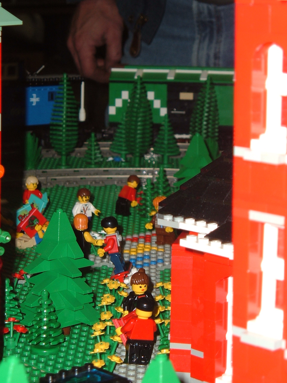 dscf3135.jpg