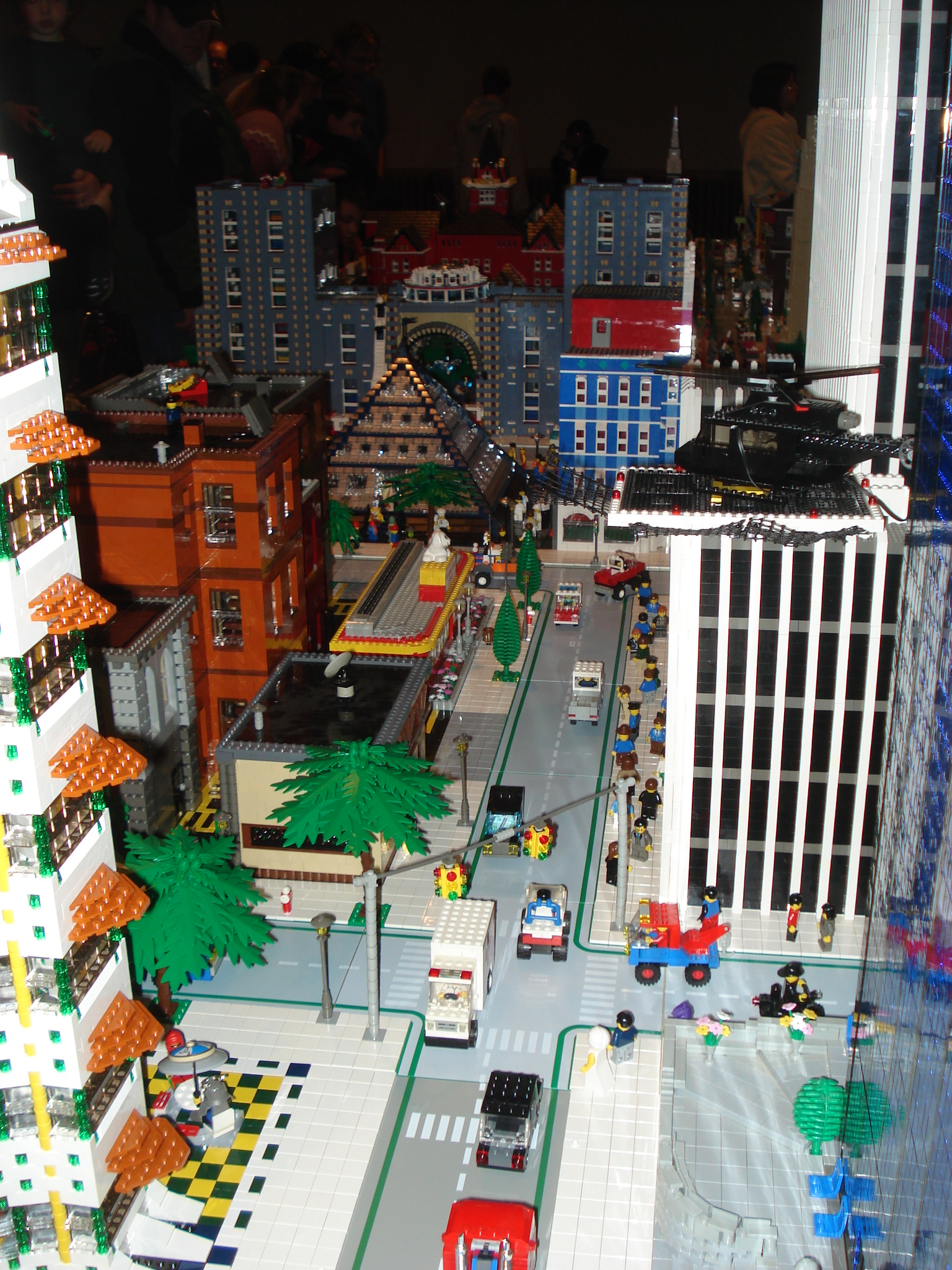 dsc00804.jpg