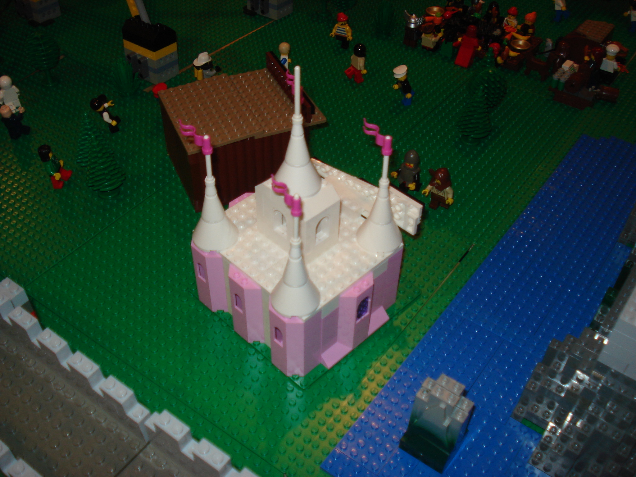 dsc00817.jpg