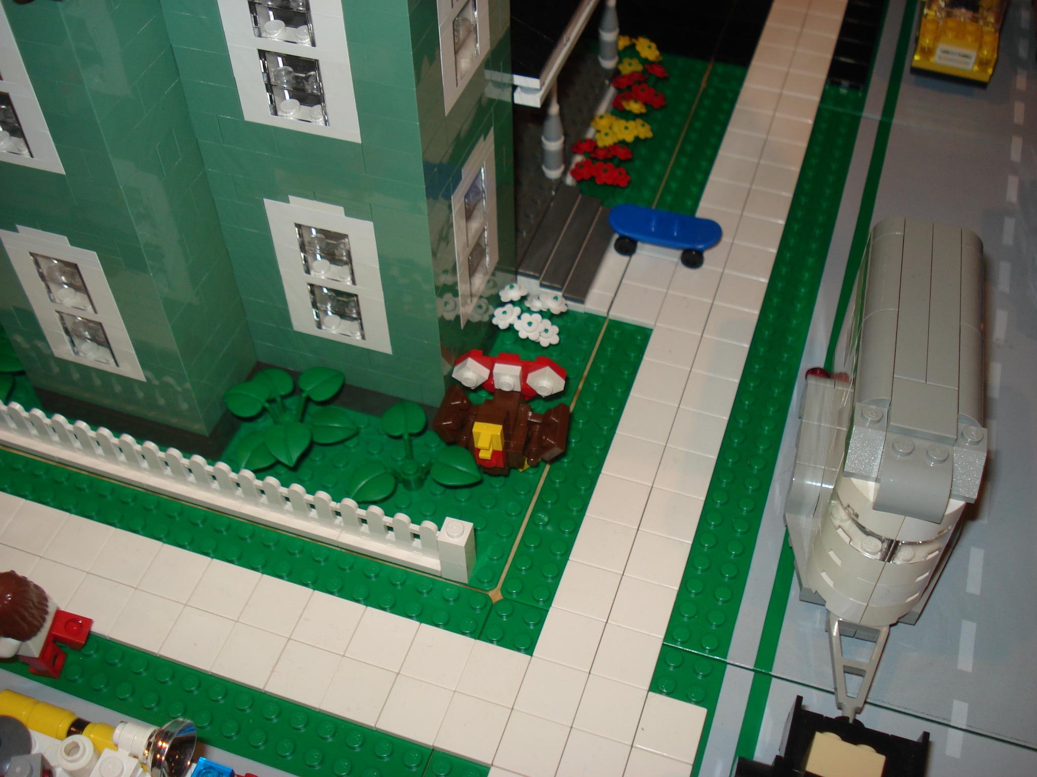 dsc00830.jpg