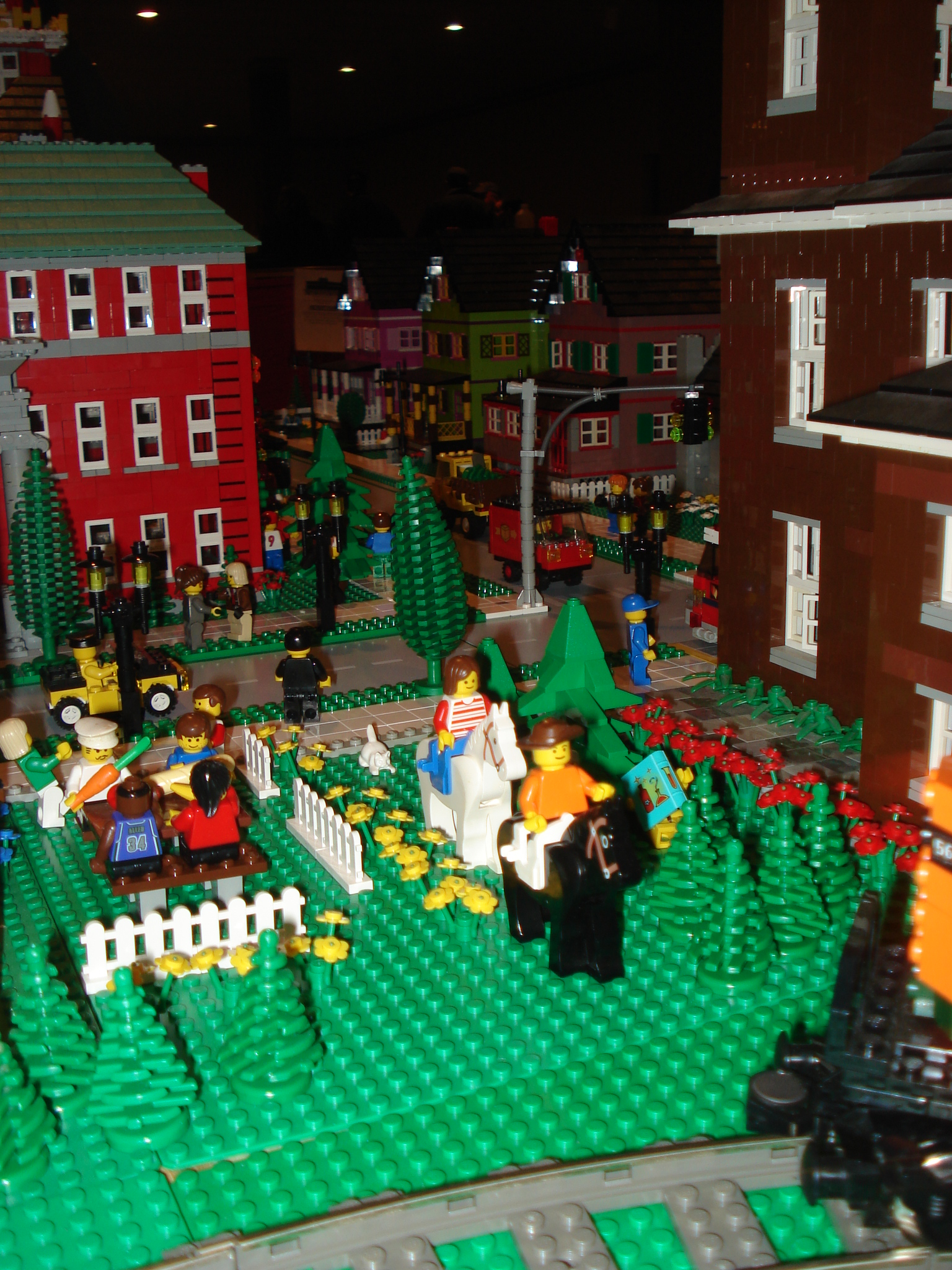 dsc00854.jpg