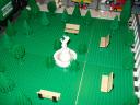 dsc00805.jpg