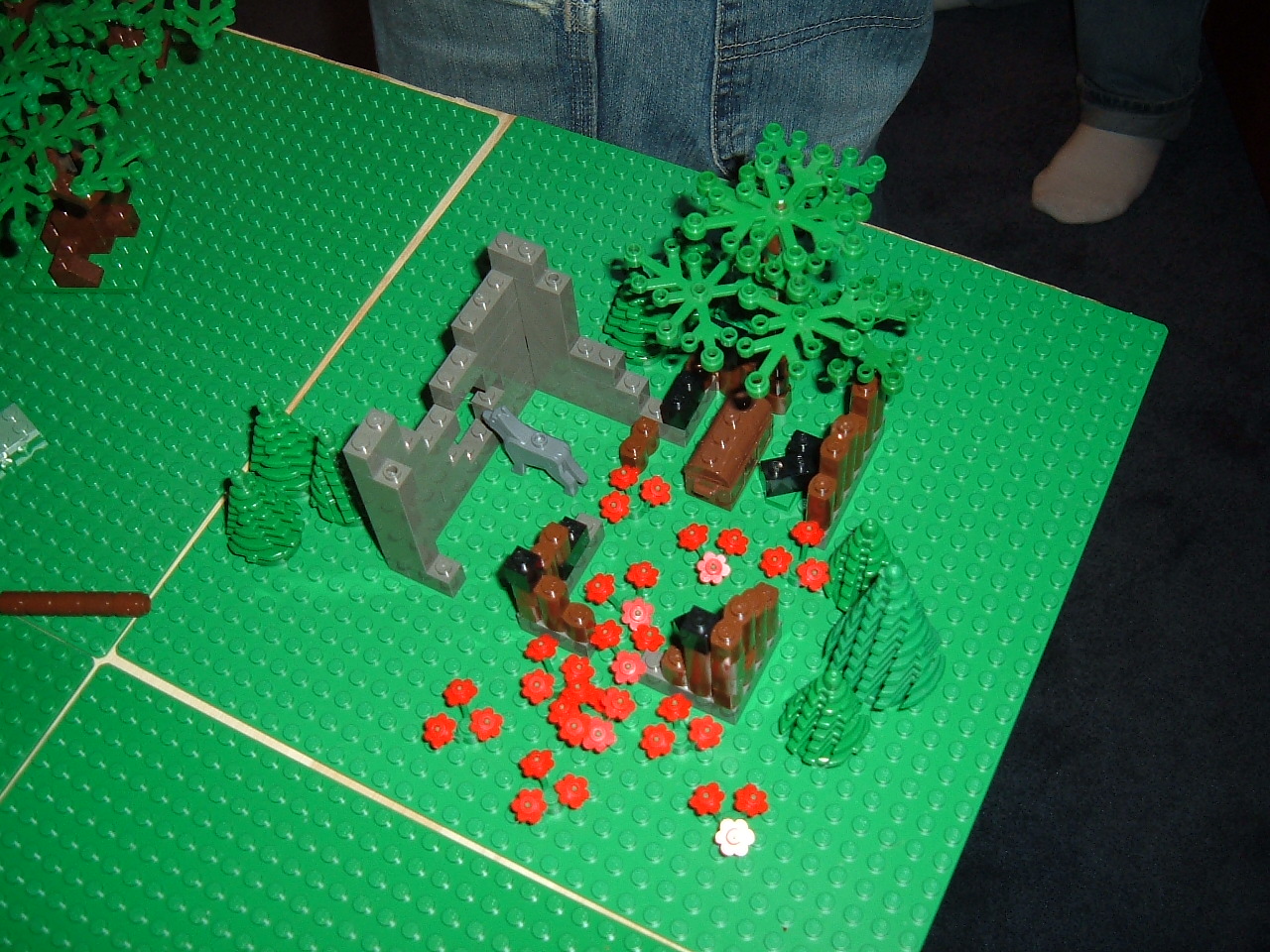 dscf4355.jpg
