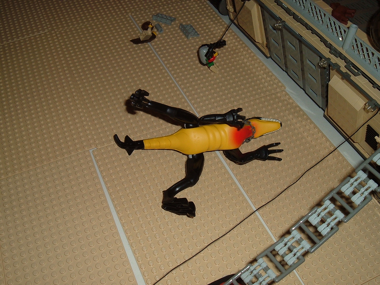 dscf6303.jpg