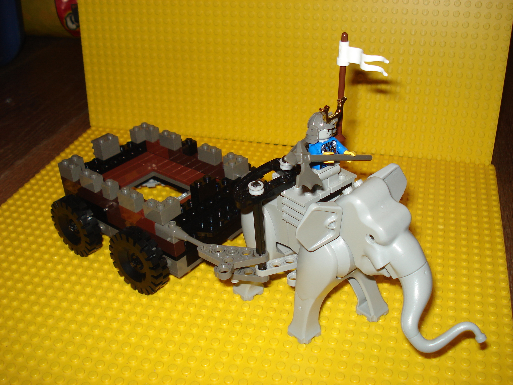 dsc00202.jpg