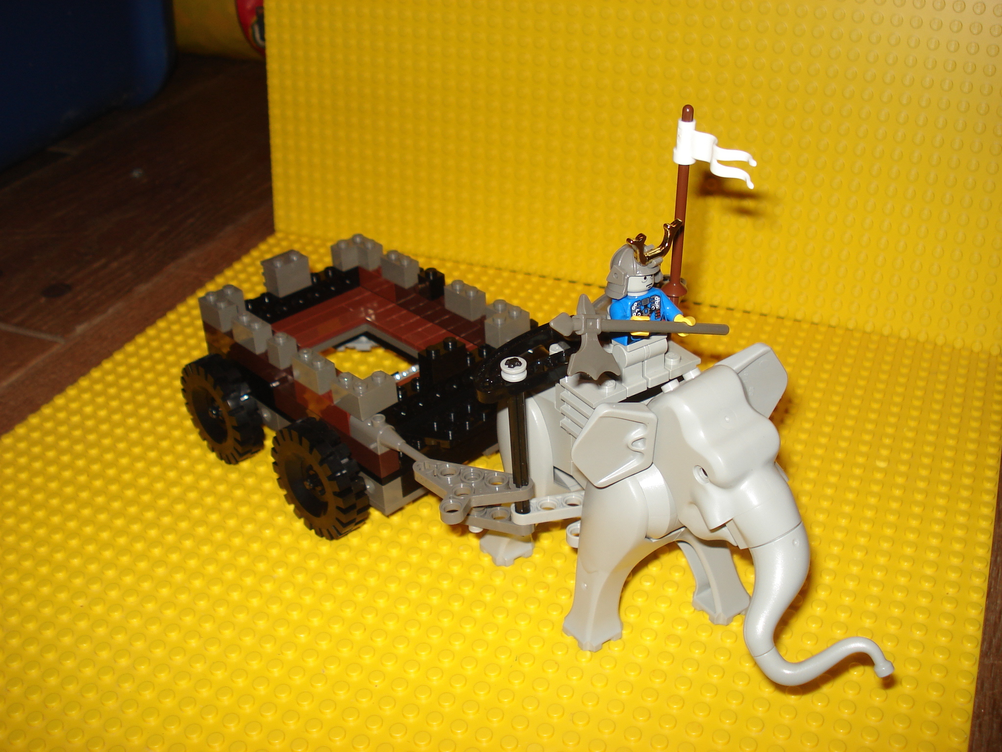 dsc00203.jpg