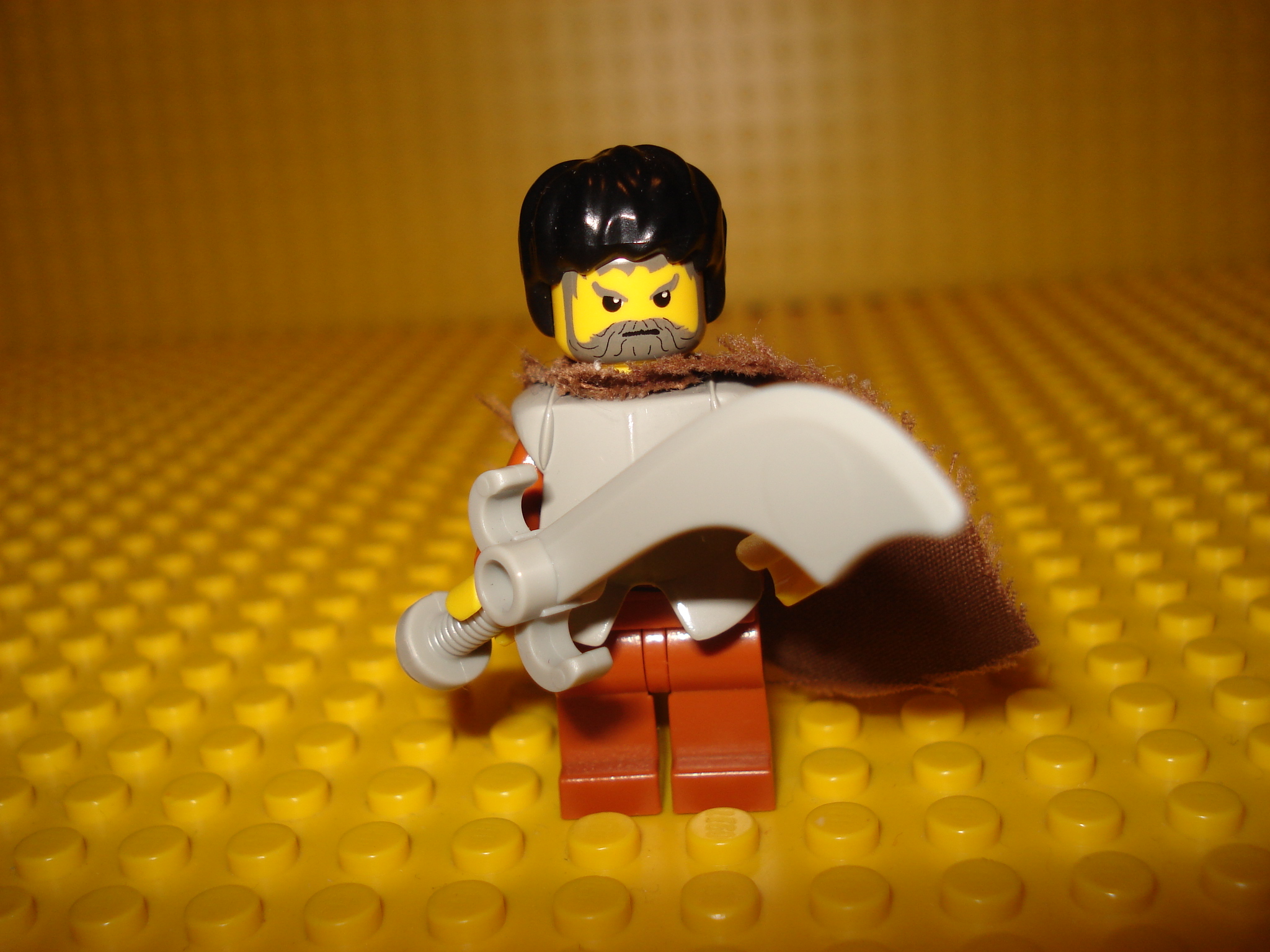 dsc00211.jpg