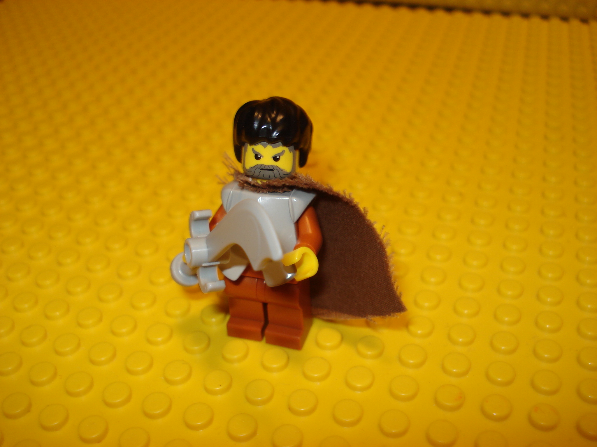 dsc00221.jpg