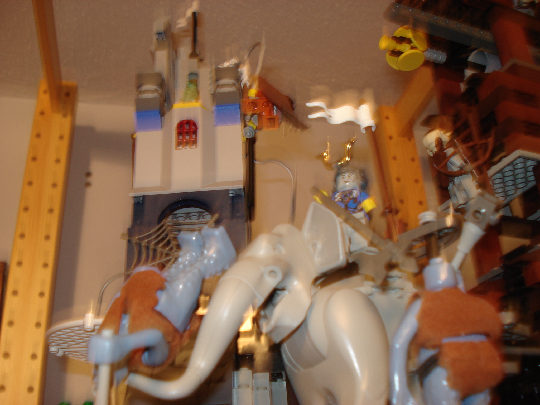 dsc00248.jpg