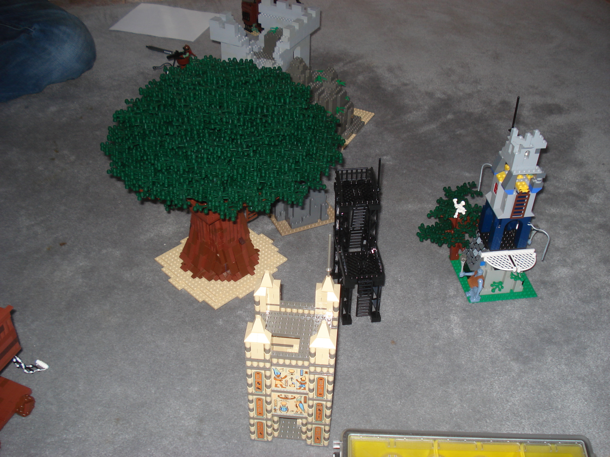 dsc02093.jpg