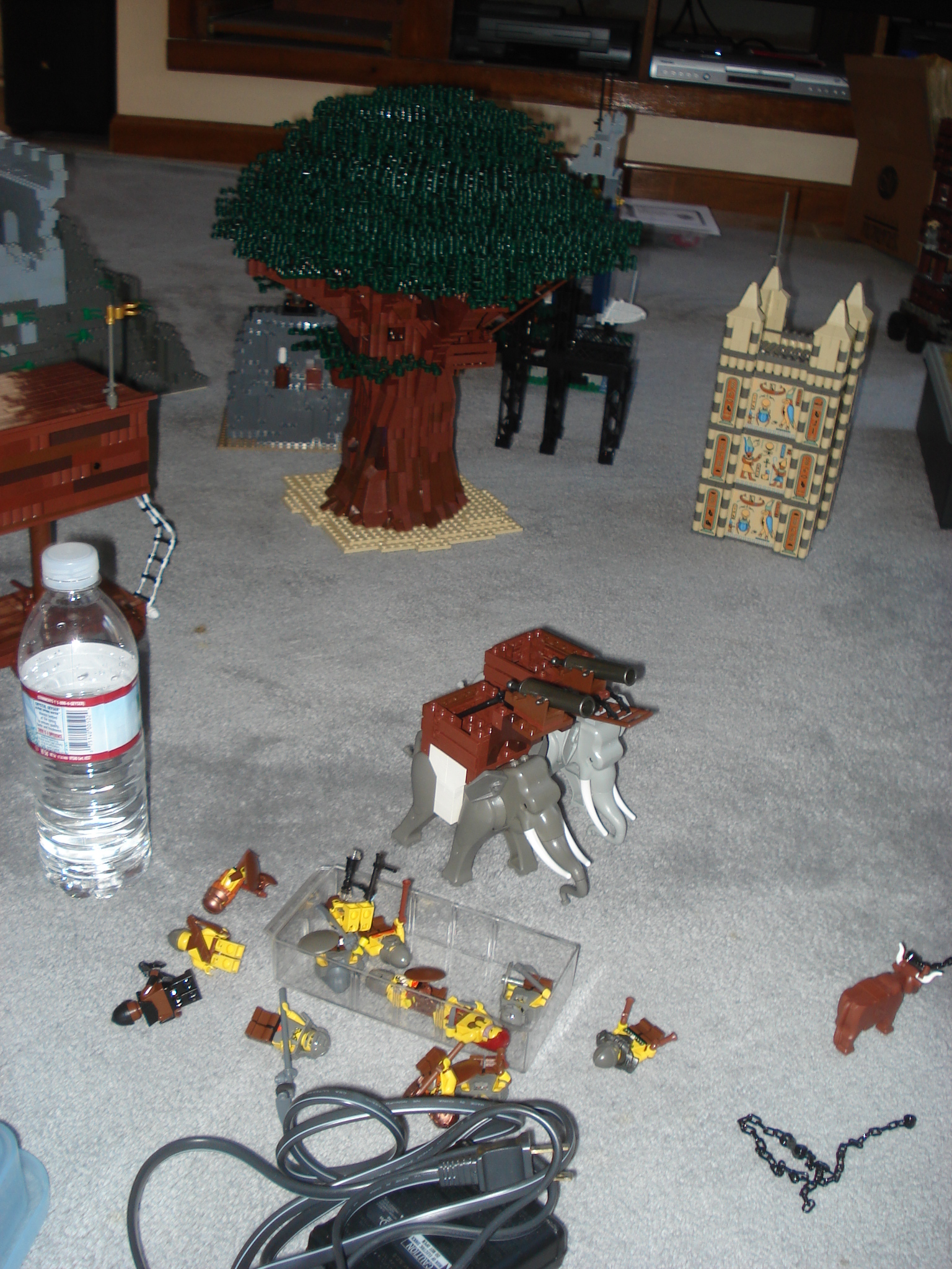 dsc02097.jpg