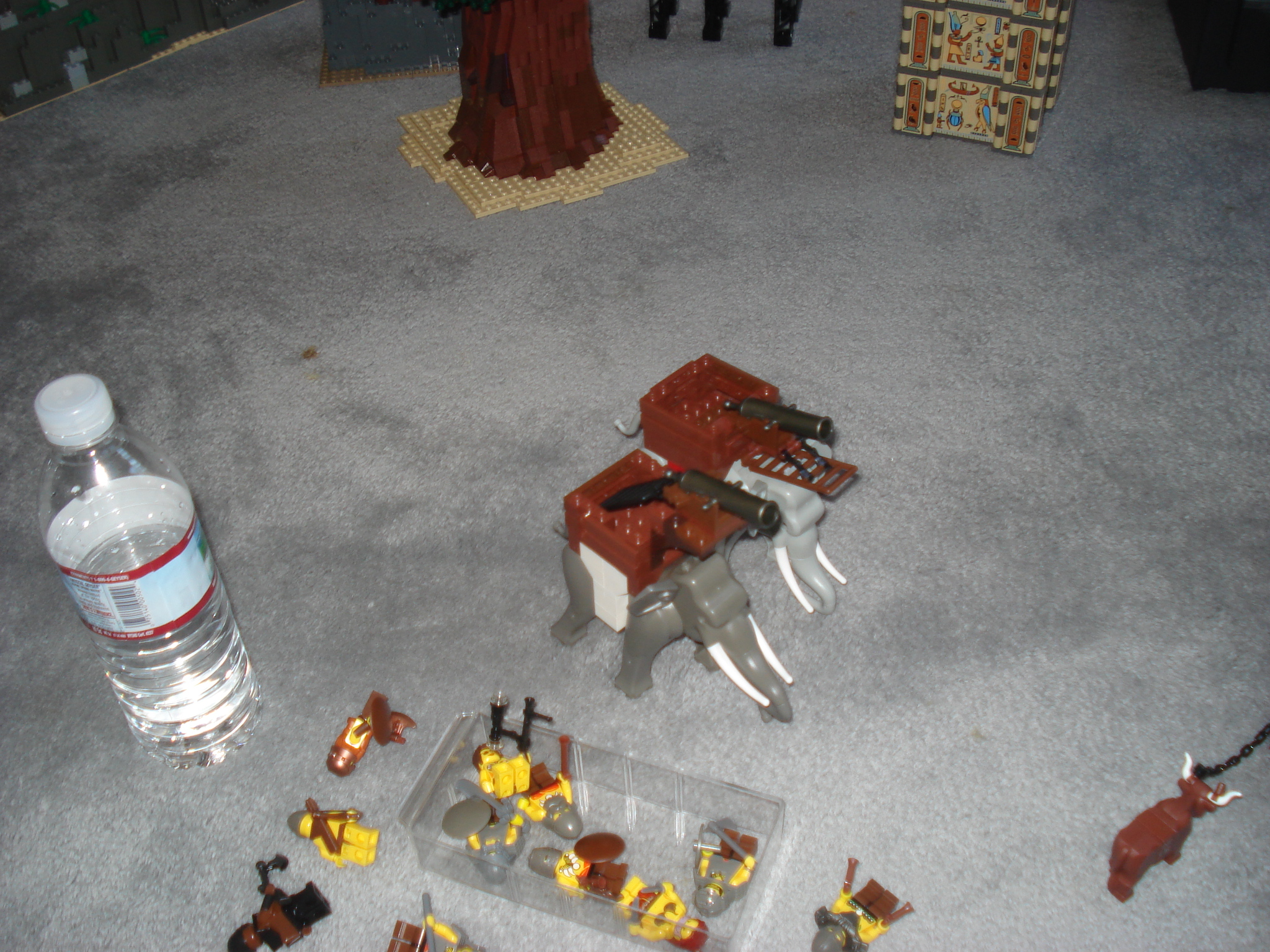 dsc02099.jpg