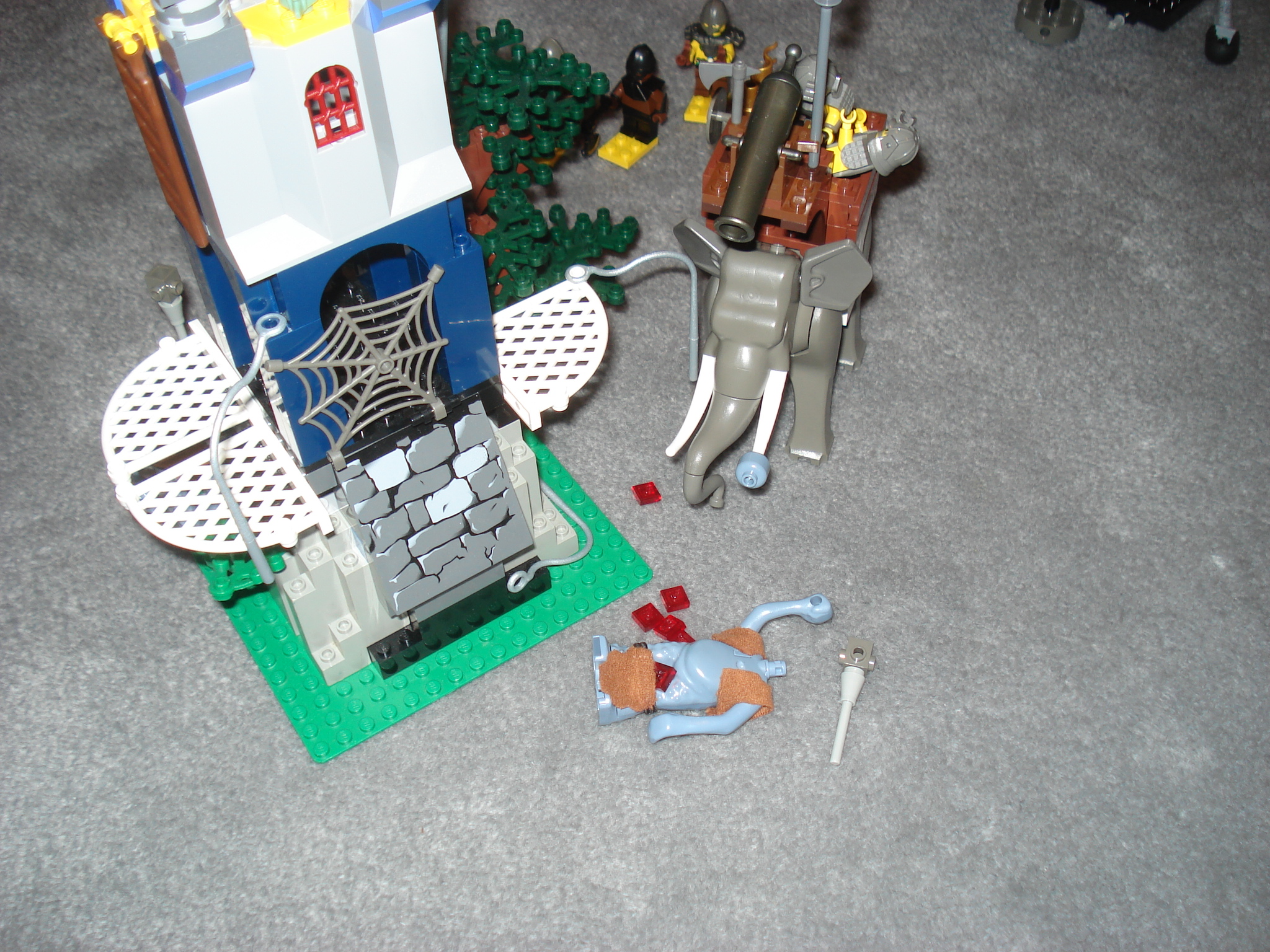 dsc02208.jpg