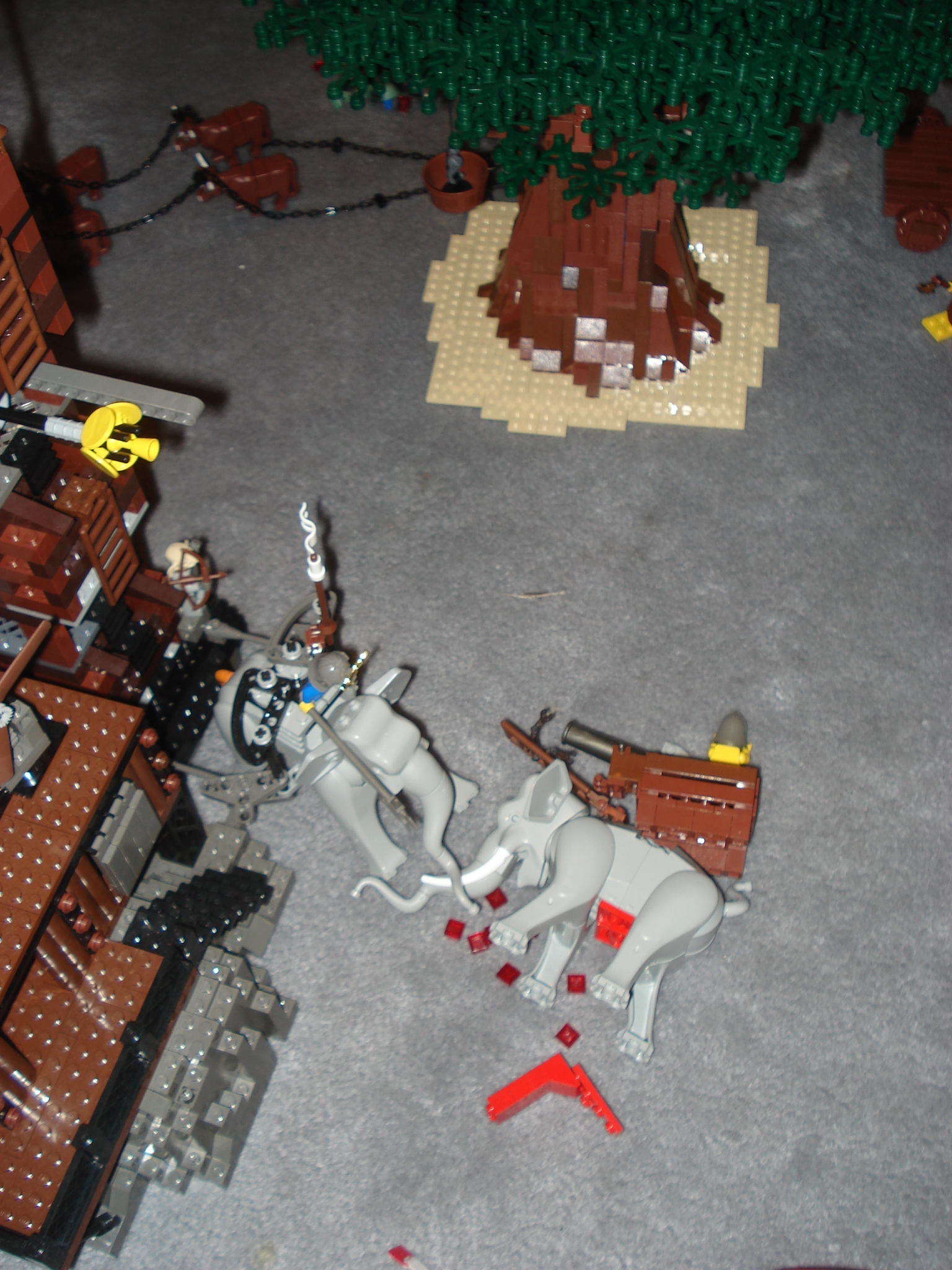 dsc02213.jpg