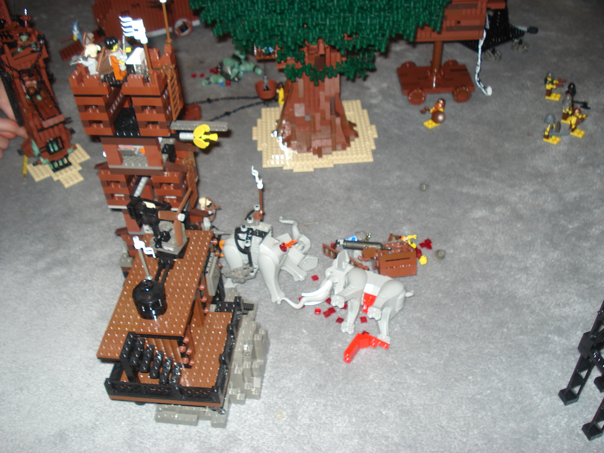 dsc02224.jpg
