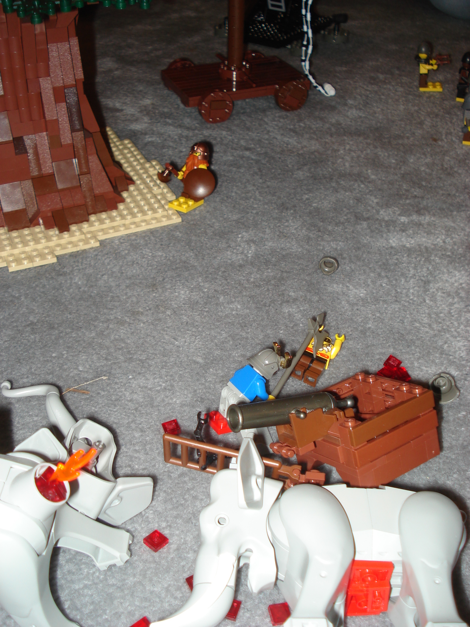 dsc02226.jpg