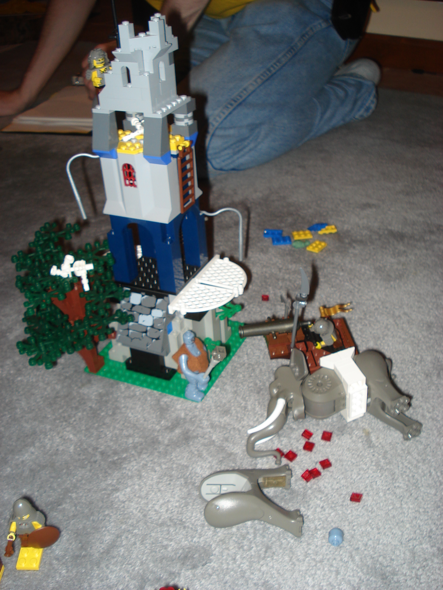 dsc02231.jpg