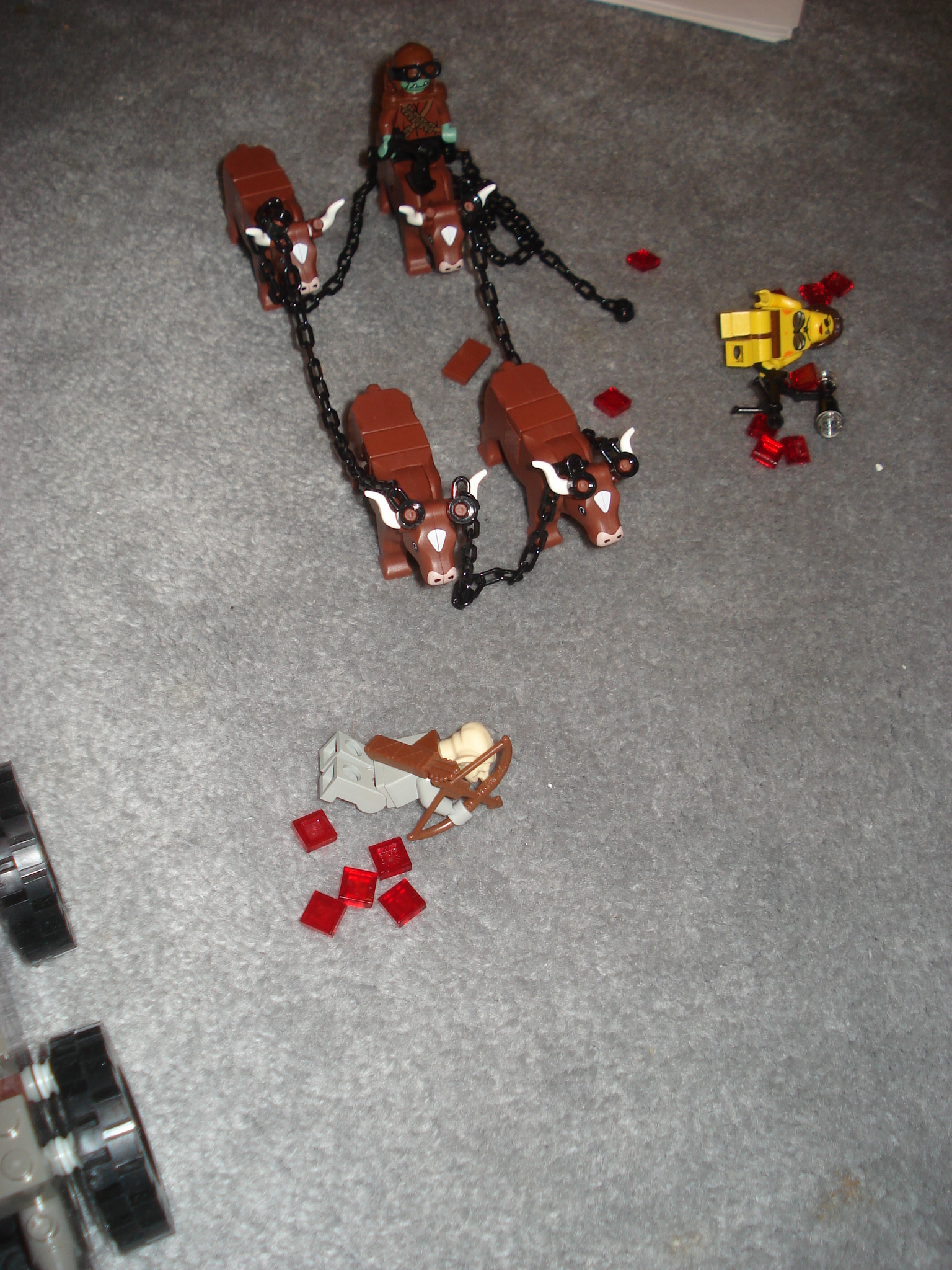 dsc02241.jpg